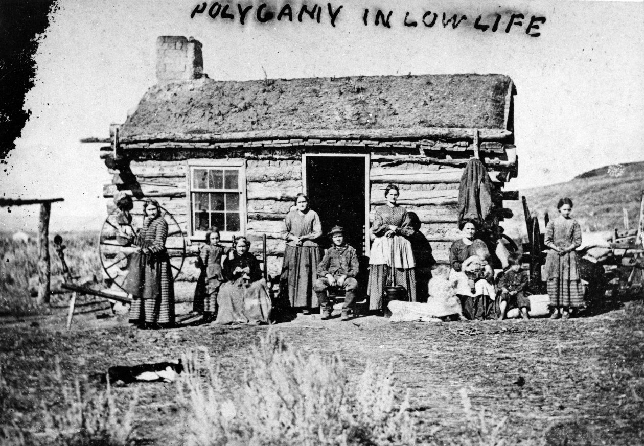 Poligamia w niskim życiu, ok. 1860 r. autorstwa Charles Roscoe Savage