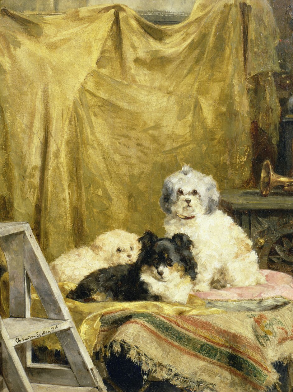 Trzy psy autorstwa Charles van den Eycken