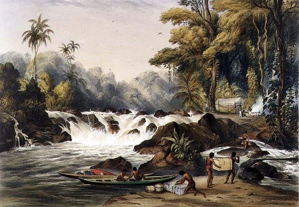 Katarakta bożonarodzeniowa na rzece Berbice, z „Widoki we wnętrzu Gujany”, grawerowana przez Paula Gauciego (fl.1834-67) wyd. przez Ackermanna autorstwa Charles (after) Bentley