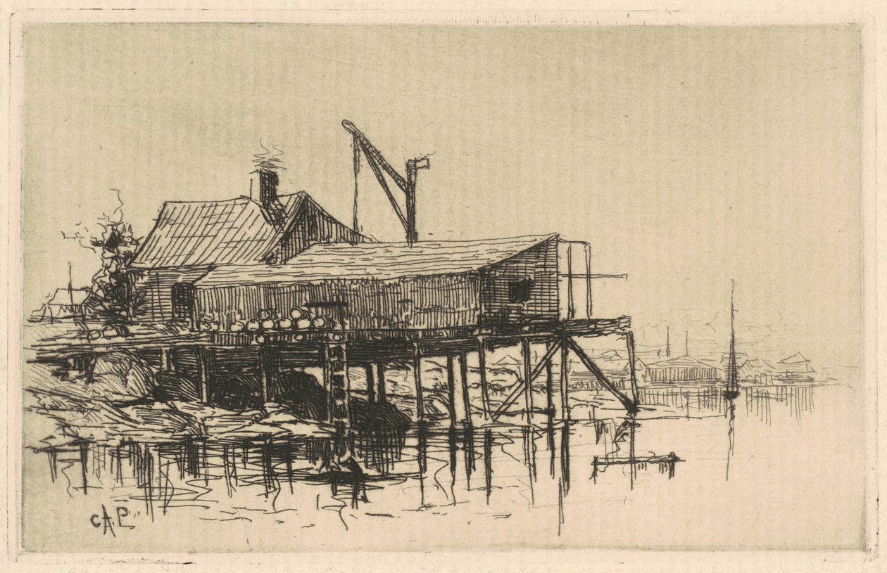 Solne Szanty autorstwa Charles A. Platt