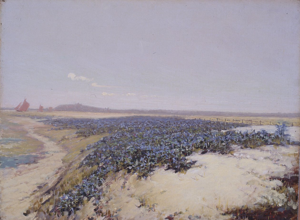 Wydmy pokryte kwiatami (olej na płótnie) autorstwa Charles Augustus Lasar