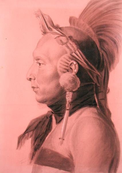 Portret Indianina, prawdopodobnie Shahaki, wodza mandanów (ołówek i węgiel na kolorowym papierze) autorstwa Charles Balthazar Julien Févret de Saint Mémin