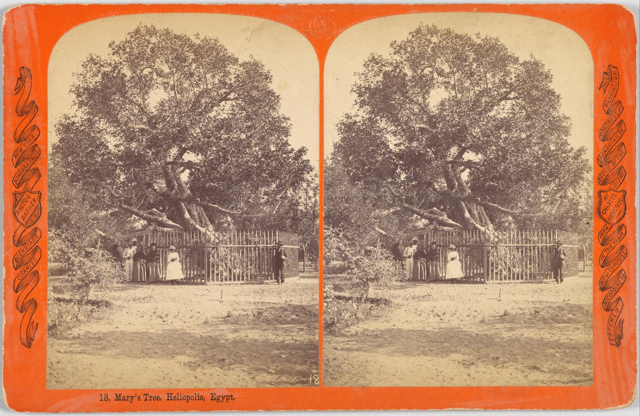 Drzewo Maryi. Heliopolis, Egipt autorstwa Charles Bierstadt