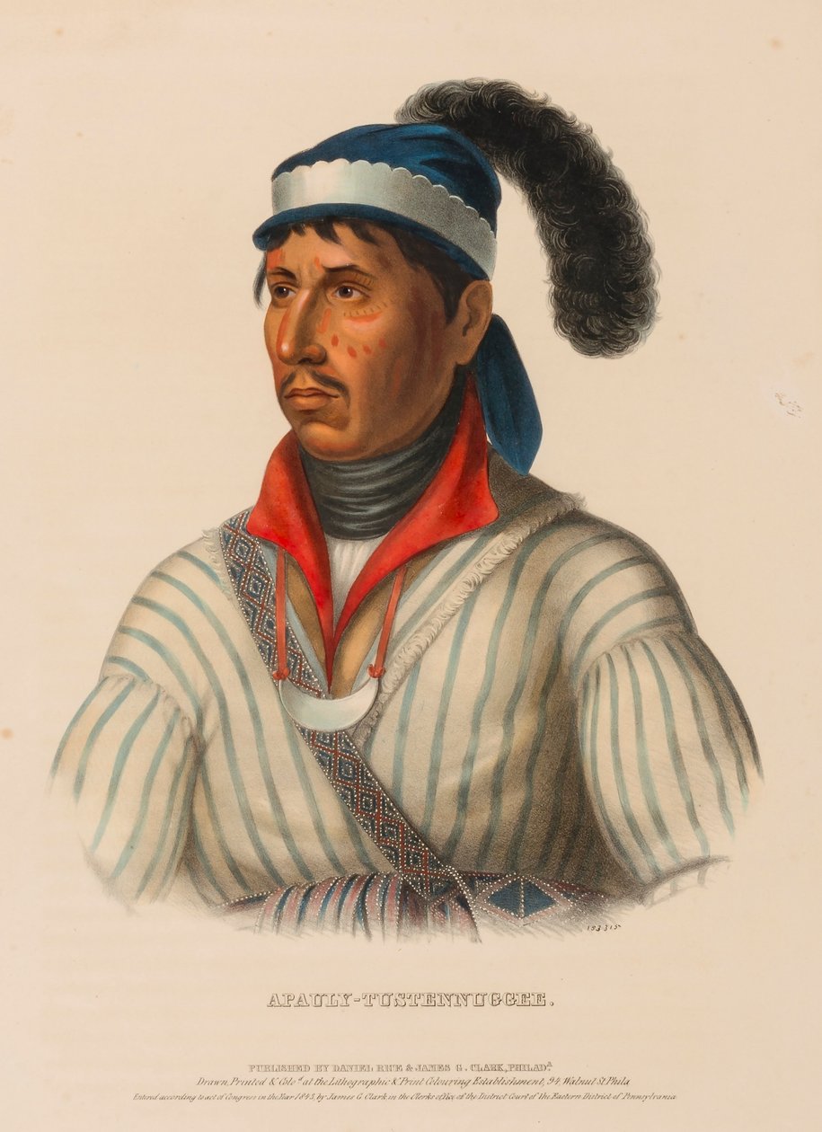 APAULY-TUSTENNUGGEE., z Historii plemion indiańskich Ameryki Północnej autorstwa Charles Bird King