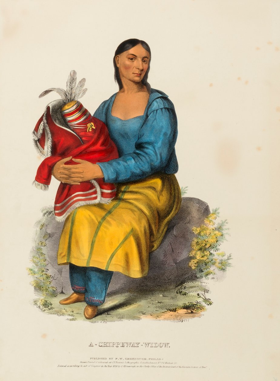A CHIPPEWAY WIDOW., z Historii plemion indiańskich Ameryki Północnej autorstwa Charles Bird King