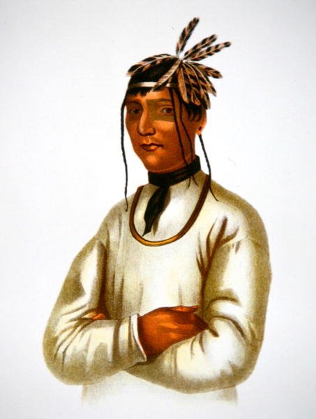 Caatousee z plemienia Chippewa (kolor lito) autorstwa Charles Bird King