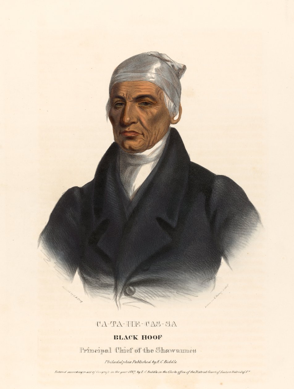 Catahecassa autorstwa Charles Bird King