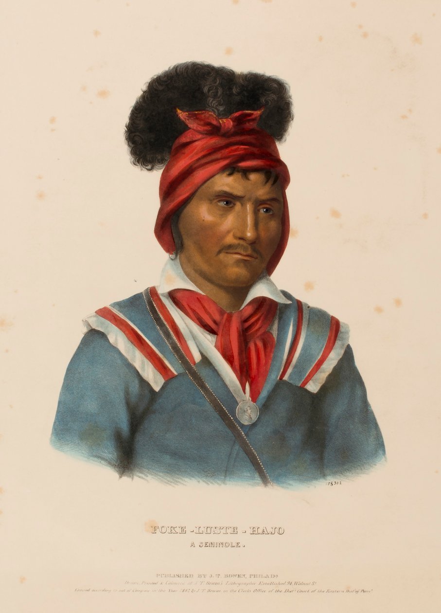FOKE-LUSTE-HAJO. A SEMINOLE., z Historii plemion indiańskich Ameryki Północnej autorstwa Charles Bird King