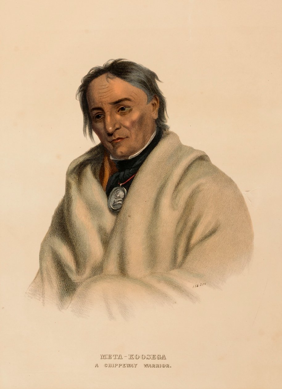 META-KOOSEGA. A CHIPPEWAY WARRIOR., z Historii plemion indiańskich Ameryki Północnej autorstwa Charles Bird King