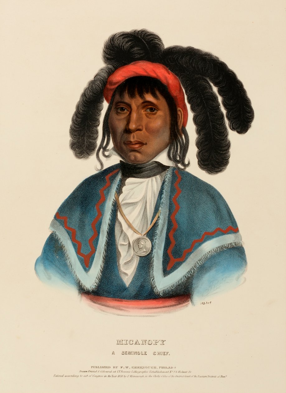 MICANOPY. A SEMINOLE CHIEF., z Historii plemion indiańskich Ameryki Północnej autorstwa Charles Bird King