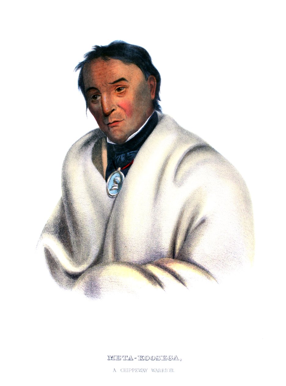 Metakoosega („Czysty Tytoń”), wojownik Chippeway autorstwa Charles Bird King