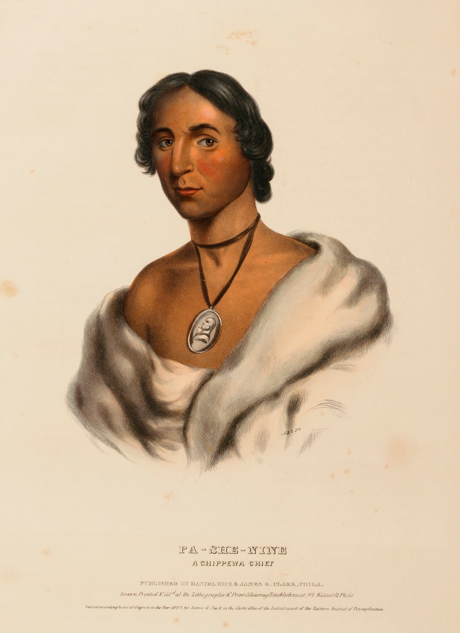 PA-SHE-NINE. A CHIPPEWA CHIEF, z Historii plemion indiańskich Ameryki Północnej autorstwa Charles Bird King