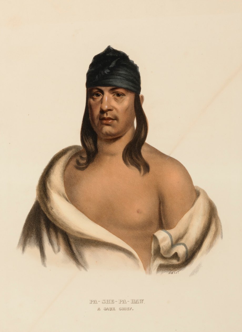 PA-SHE-PA-HAW. A SAUK CHIEF., z Historii plemion indiańskich Ameryki Północnej autorstwa Charles Bird King