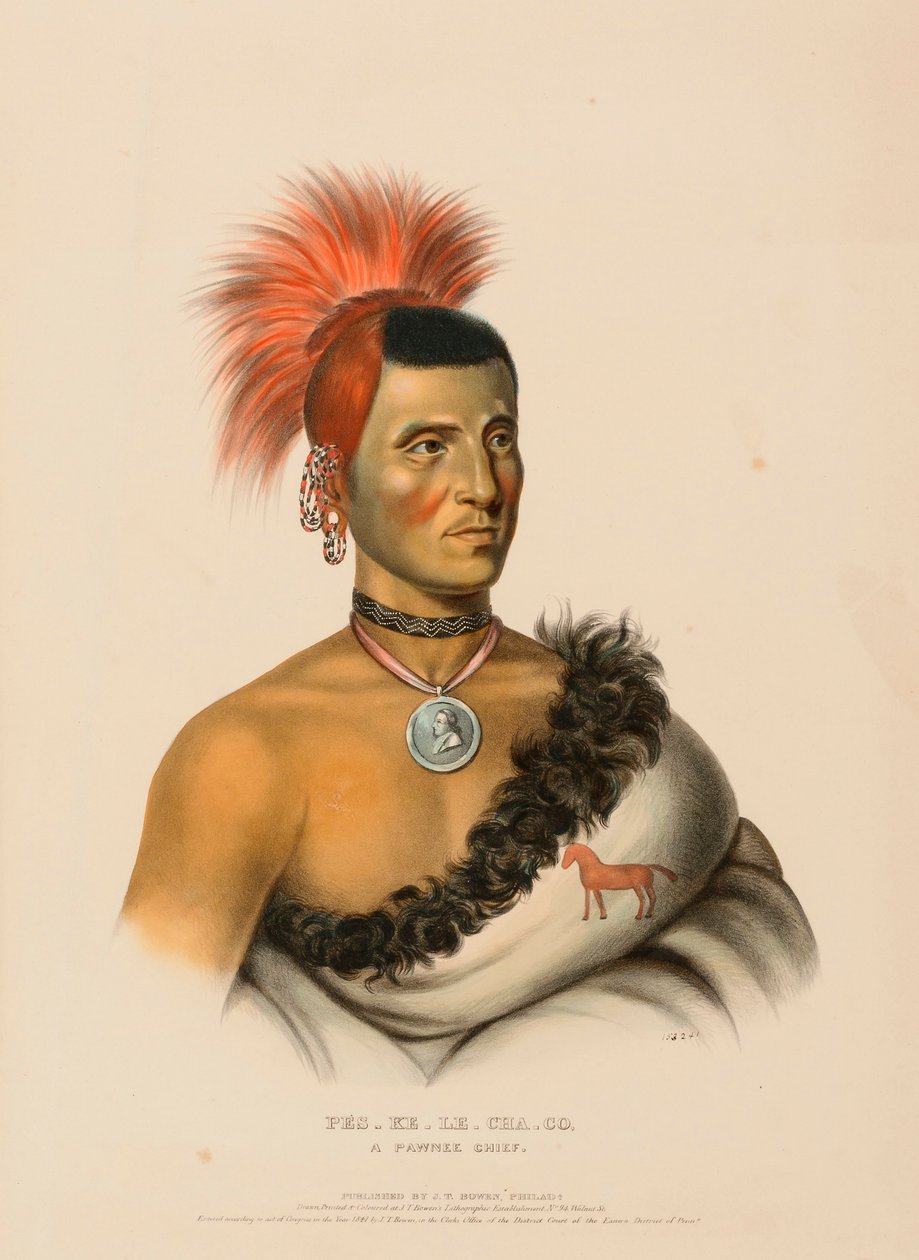PES-KE-LE-CHA-CO, A PAWNEE CHIEF., z Historii plemion indiańskich Ameryki Północnej autorstwa Charles Bird King