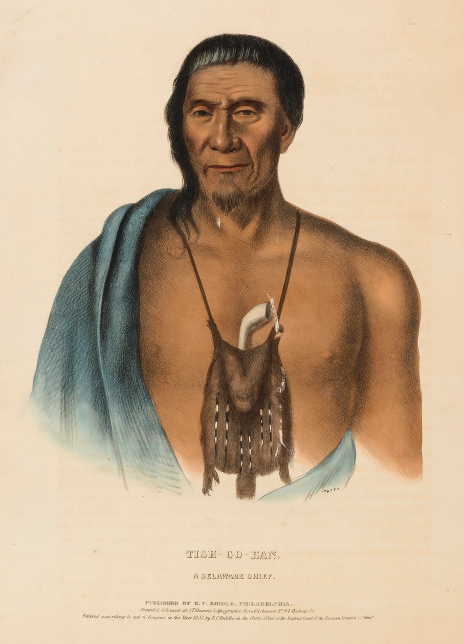 TISH-CO-HAN. A DELAWARE CHIEF., z Historii plemion indiańskich Ameryki Północnej autorstwa Charles Bird King