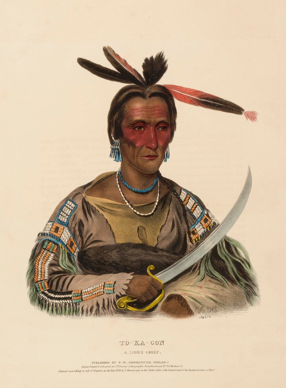 TO-KA-CON. A SIOUX CHIEF., z Historii plemion indiańskich Ameryki Północnej autorstwa Charles Bird King