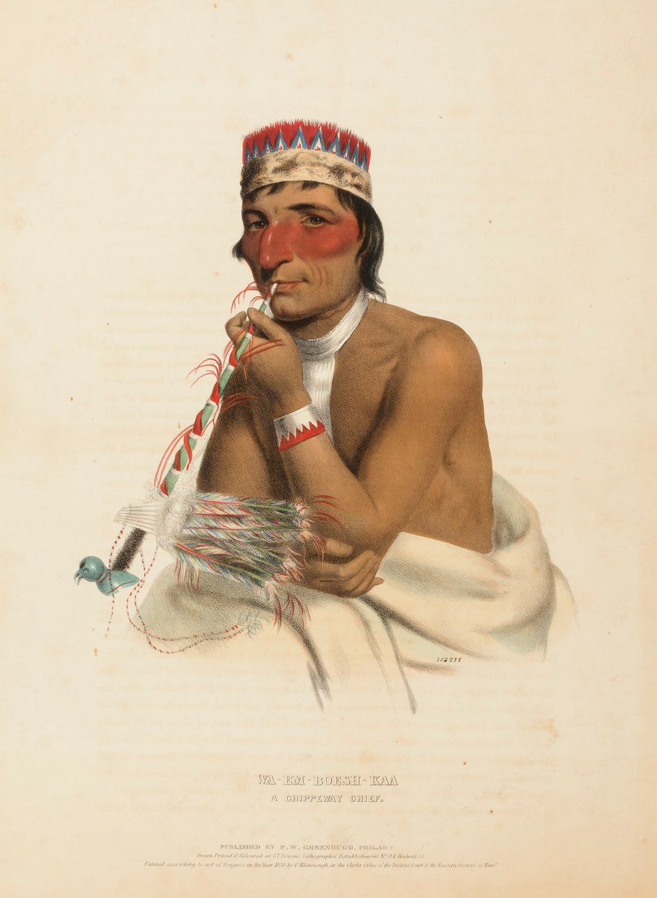 WA-EM-BOESH-KAA. A CHIPPEWAY CHIEF., z Historii plemion indiańskich Ameryki Północnej autorstwa Charles Bird King