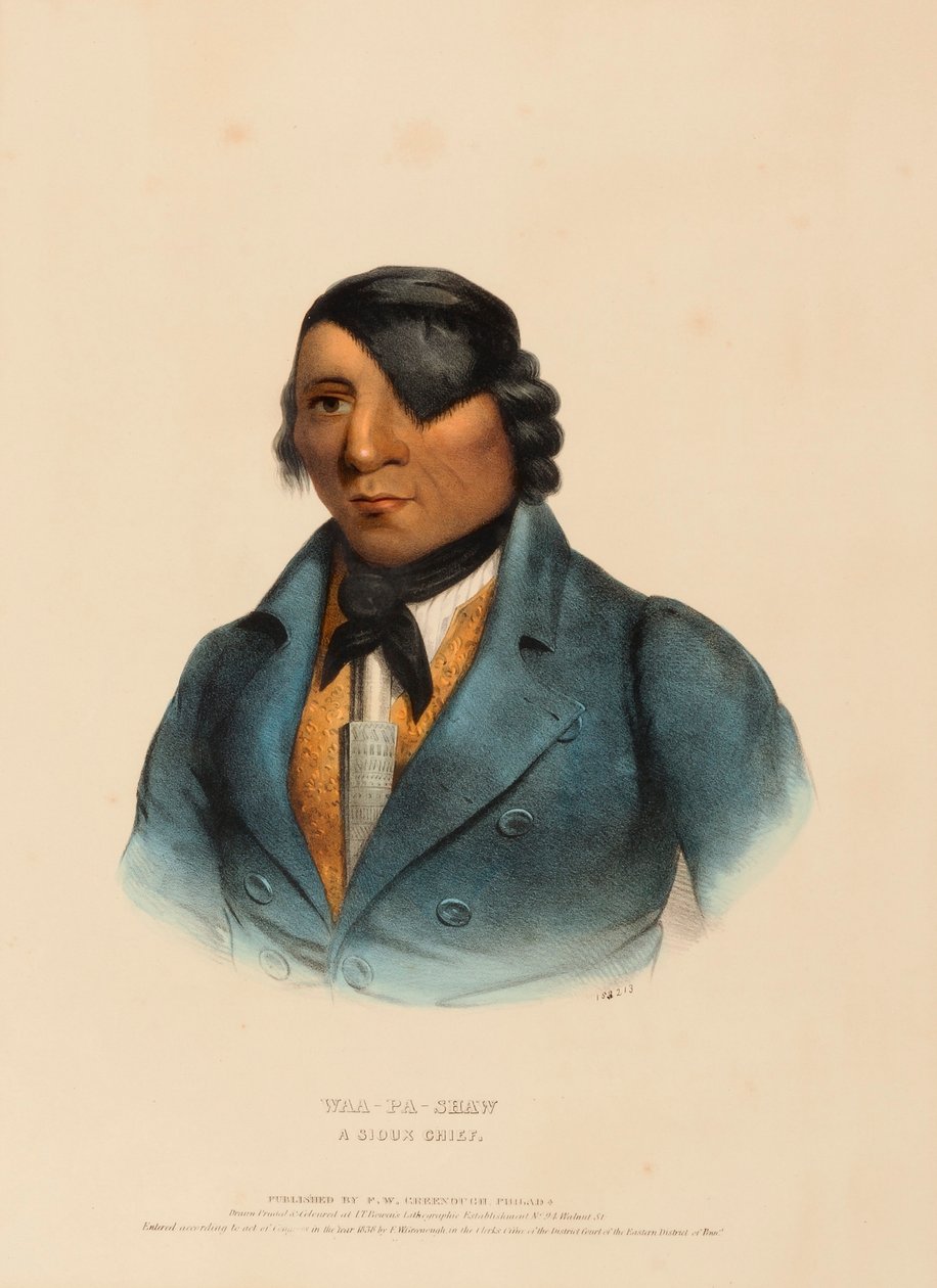 WAA-PA-SHAW. A SIOUX CHIEF, z Historii plemion indiańskich Ameryki Północnej autorstwa Charles Bird King