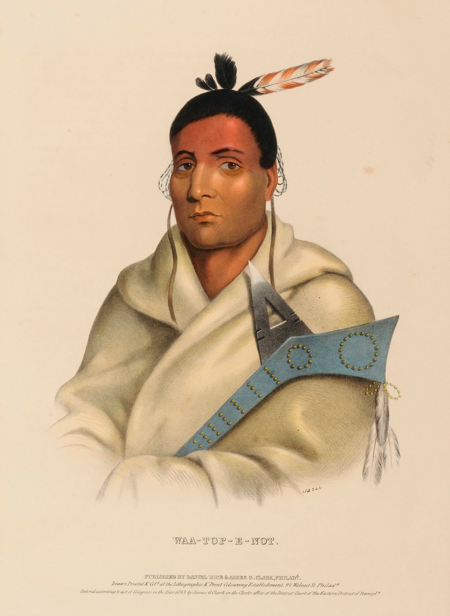 WAA-TOP-E-NOT., z Historii plemion indiańskich Ameryki Północnej autorstwa Charles Bird King