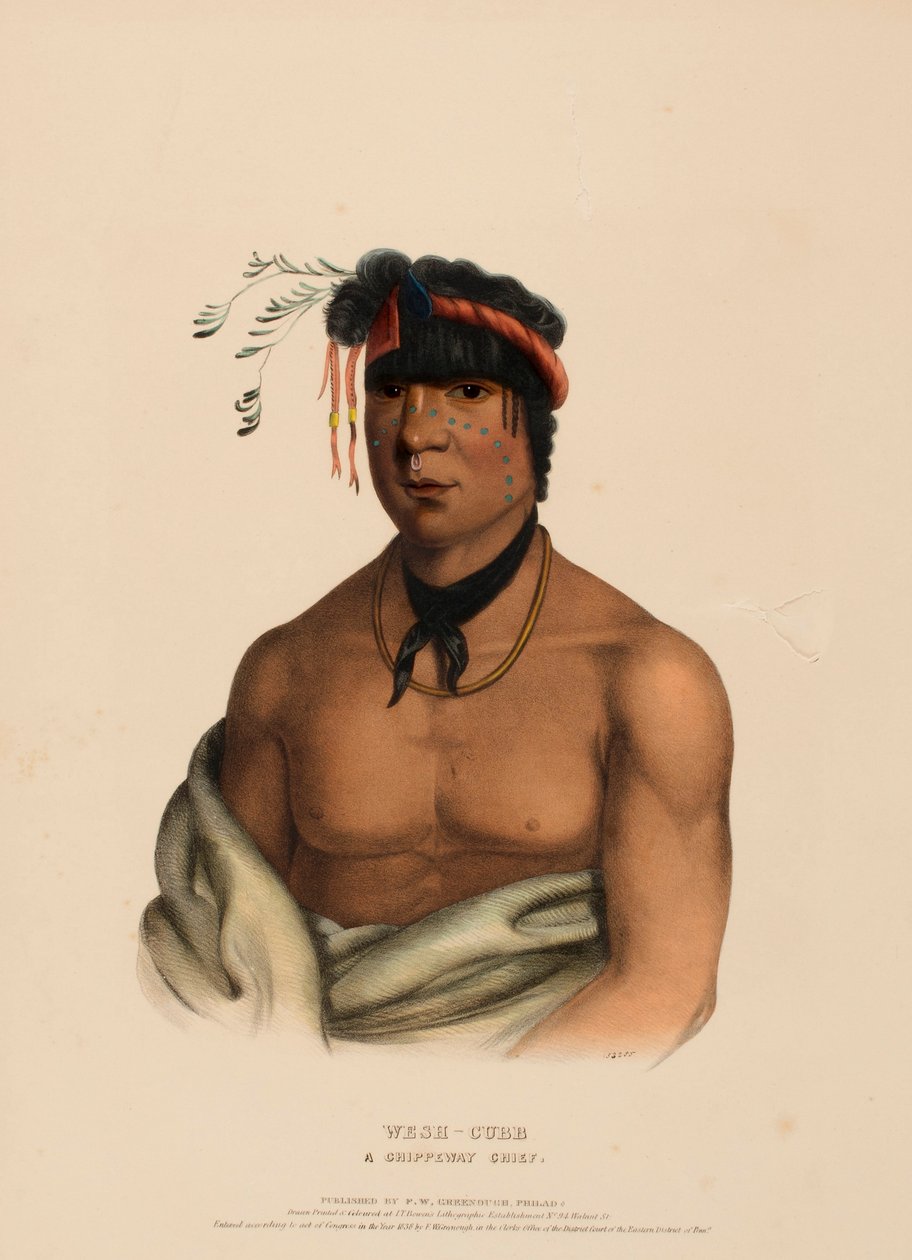 WESH-CUBB. A CHIPPEWAY CHIEF, z Historii plemion indiańskich Ameryki Północnej autorstwa Charles Bird King