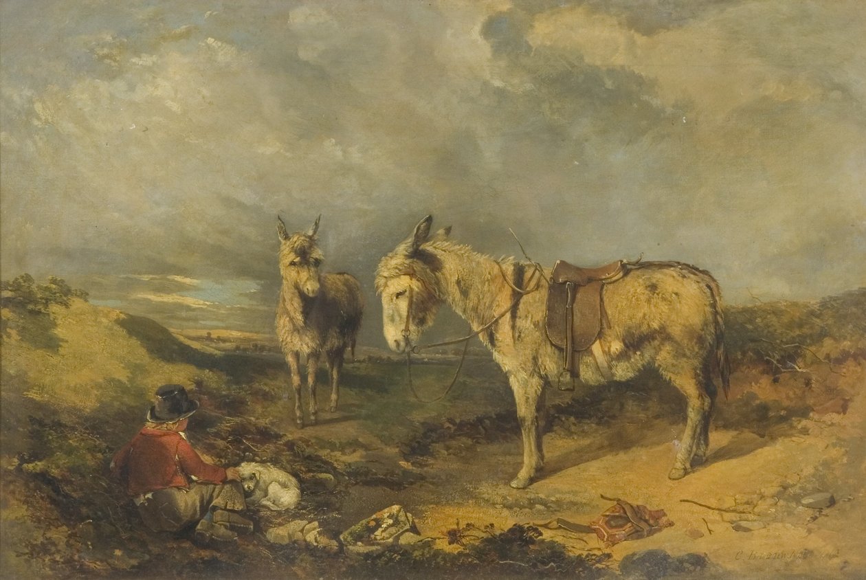 Dwa Osły autorstwa Charles Branwhite