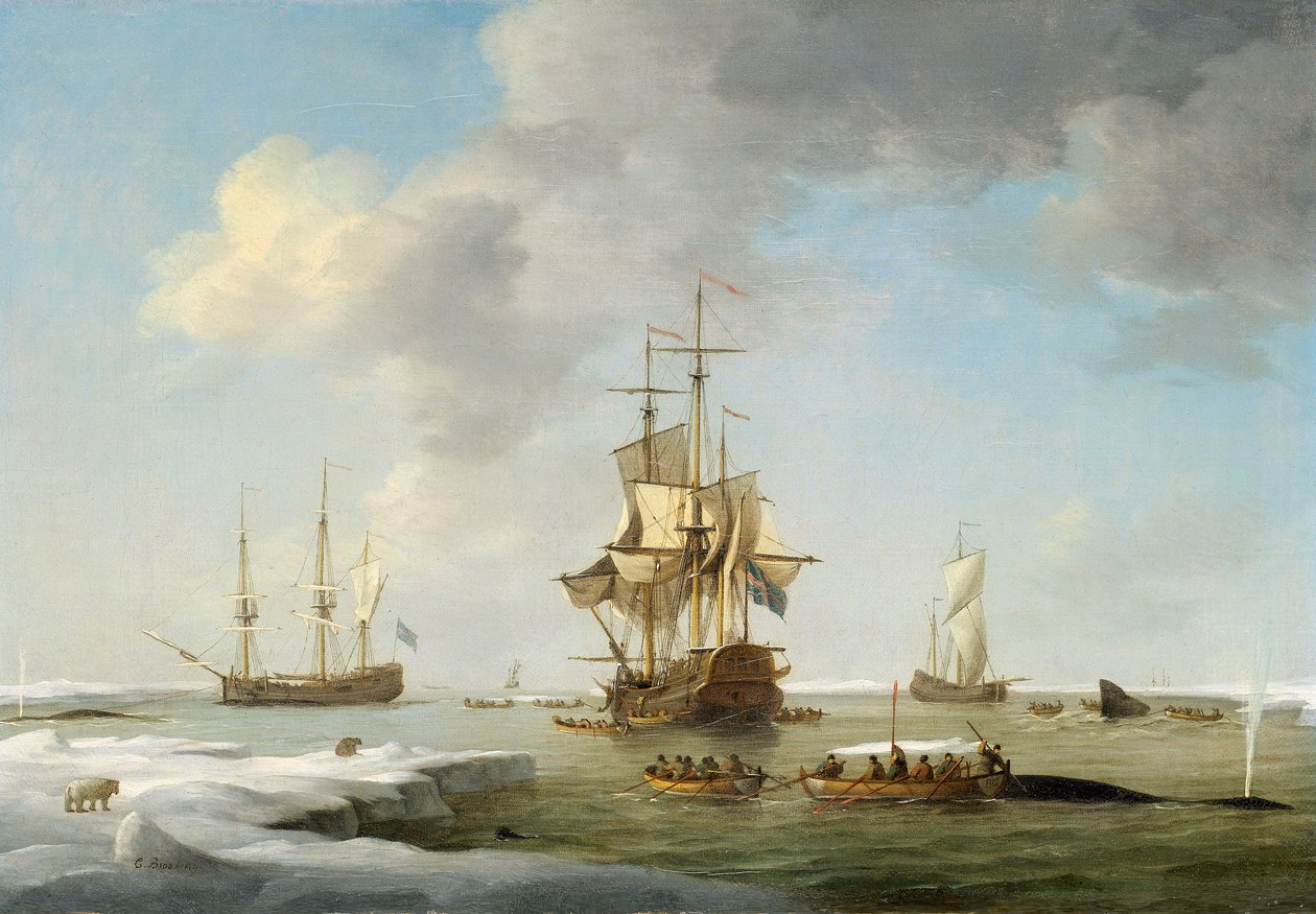 Rybołówstwo na Grenlandii: Angielscy wielorybnicy w lodzie, ok. 1750 (olej na płótnie) autorstwa Charles Brooking