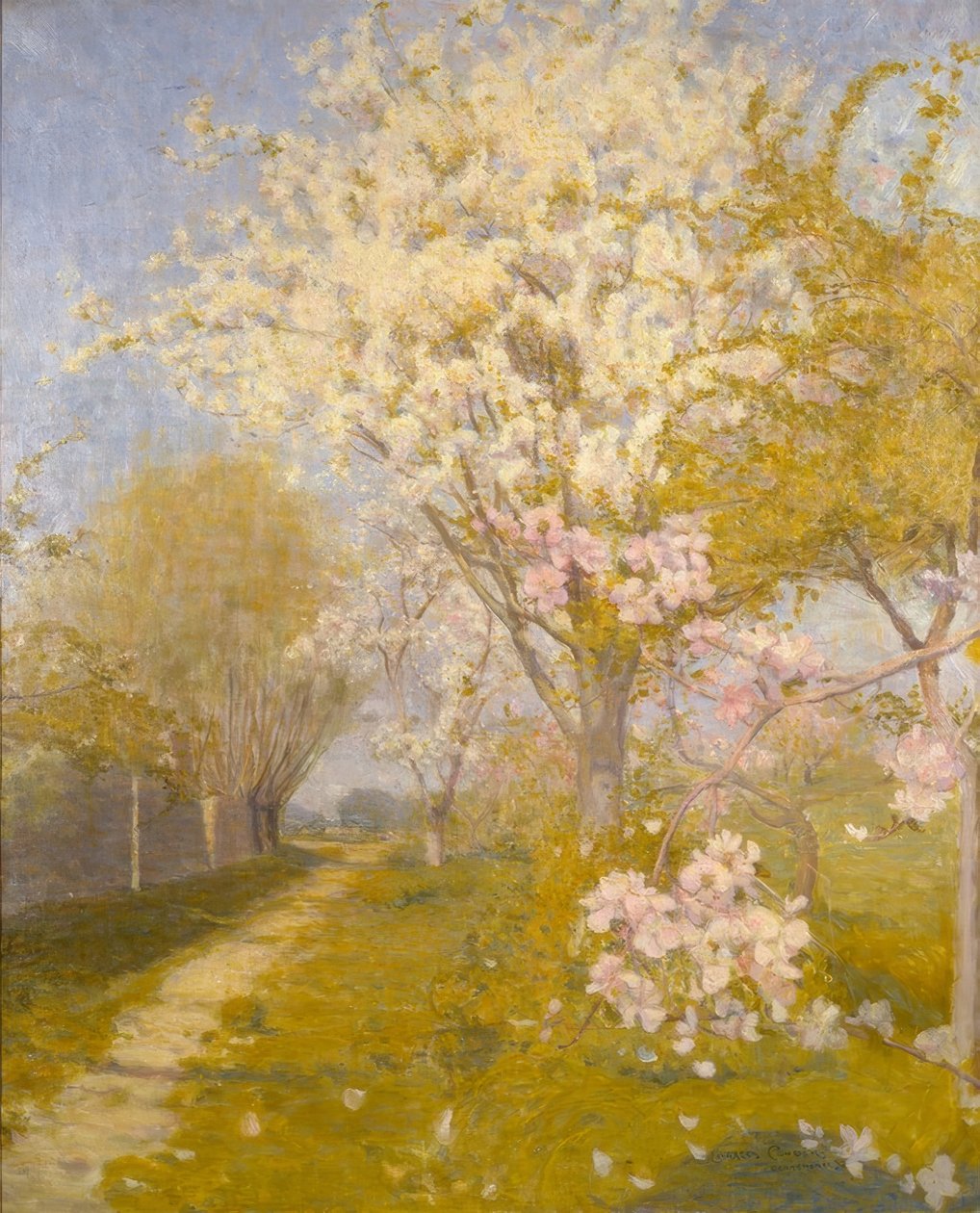 Kwiat jabłoni w Dennemont autorstwa Charles Edward Conder