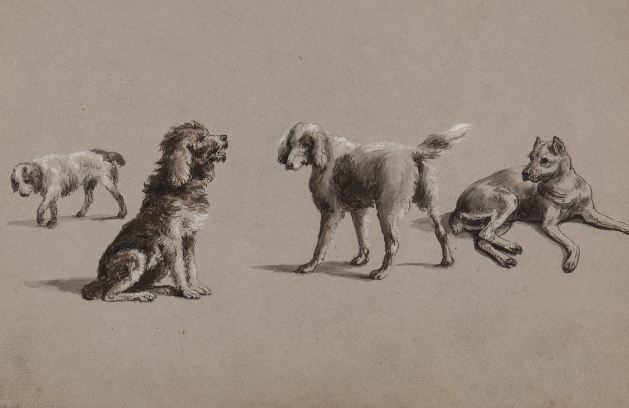 Badania psów (długopis, pędzel, tusz i gwasz na papierze) autorstwa Charles Cooper Henderson