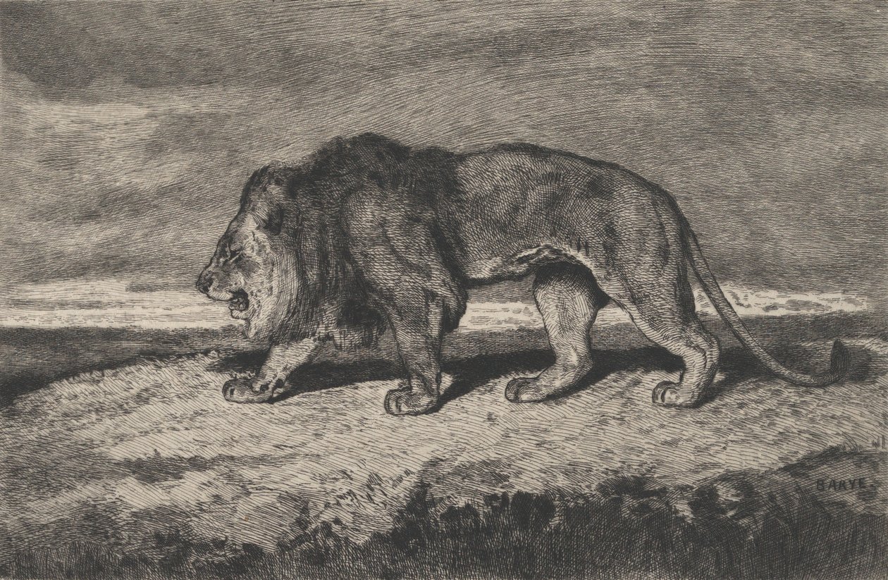 Spacerujący lew, 1866-1897. autorstwa Charles Courtry
