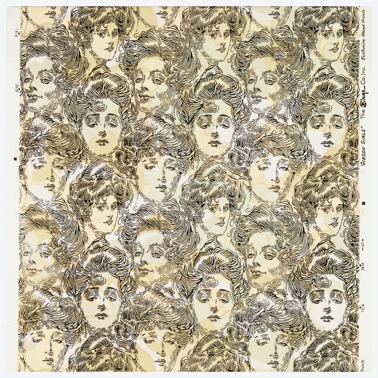 Papier ścienny licencjacki, 1902 autorstwa Charles Dana Gibson