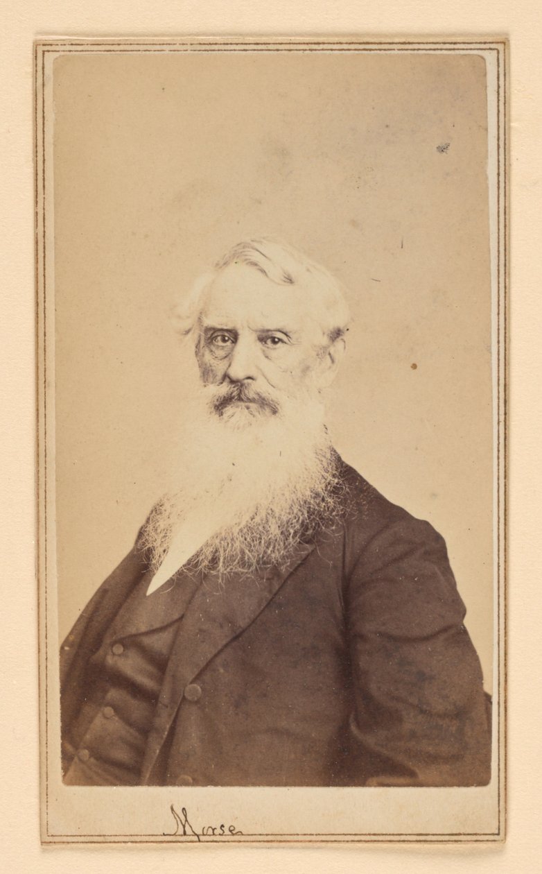 Samuel F. B. Morse autorstwa Charles DeForest Fredricks