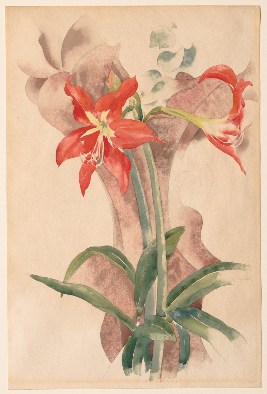 Amarylis autorstwa Charles Demuth