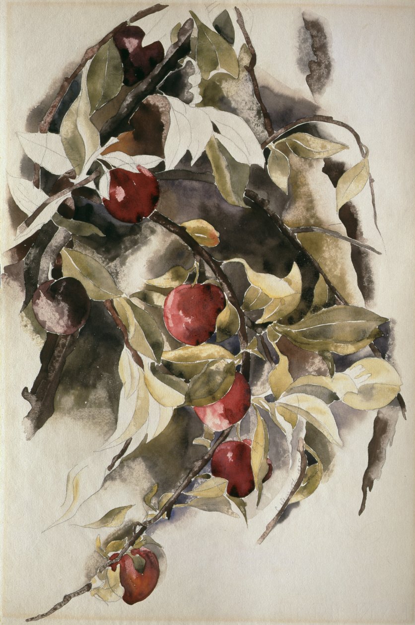 Śliwki, 1925 autorstwa Charles Demuth
