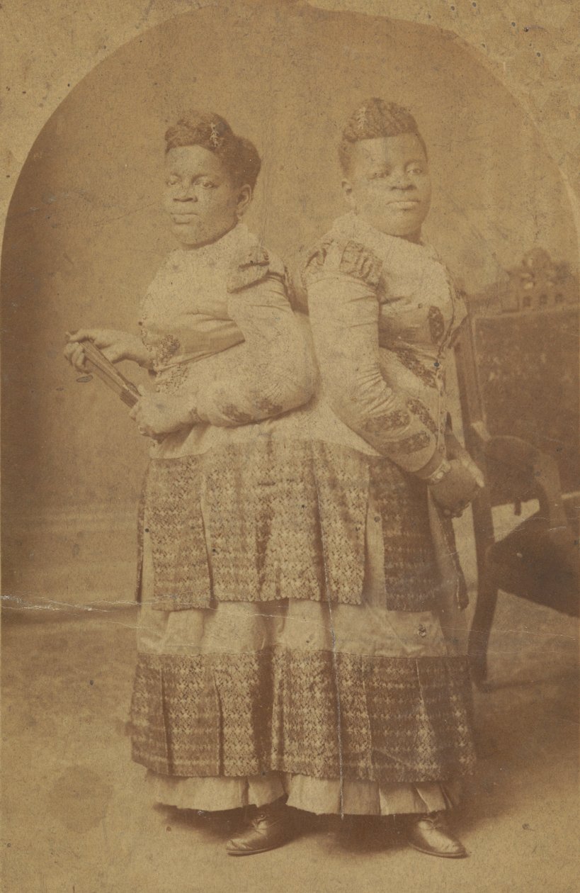 Odbitka albuminowa Millie i Christine McCoy, 1880-1890. autorstwa Charles Eisenmann