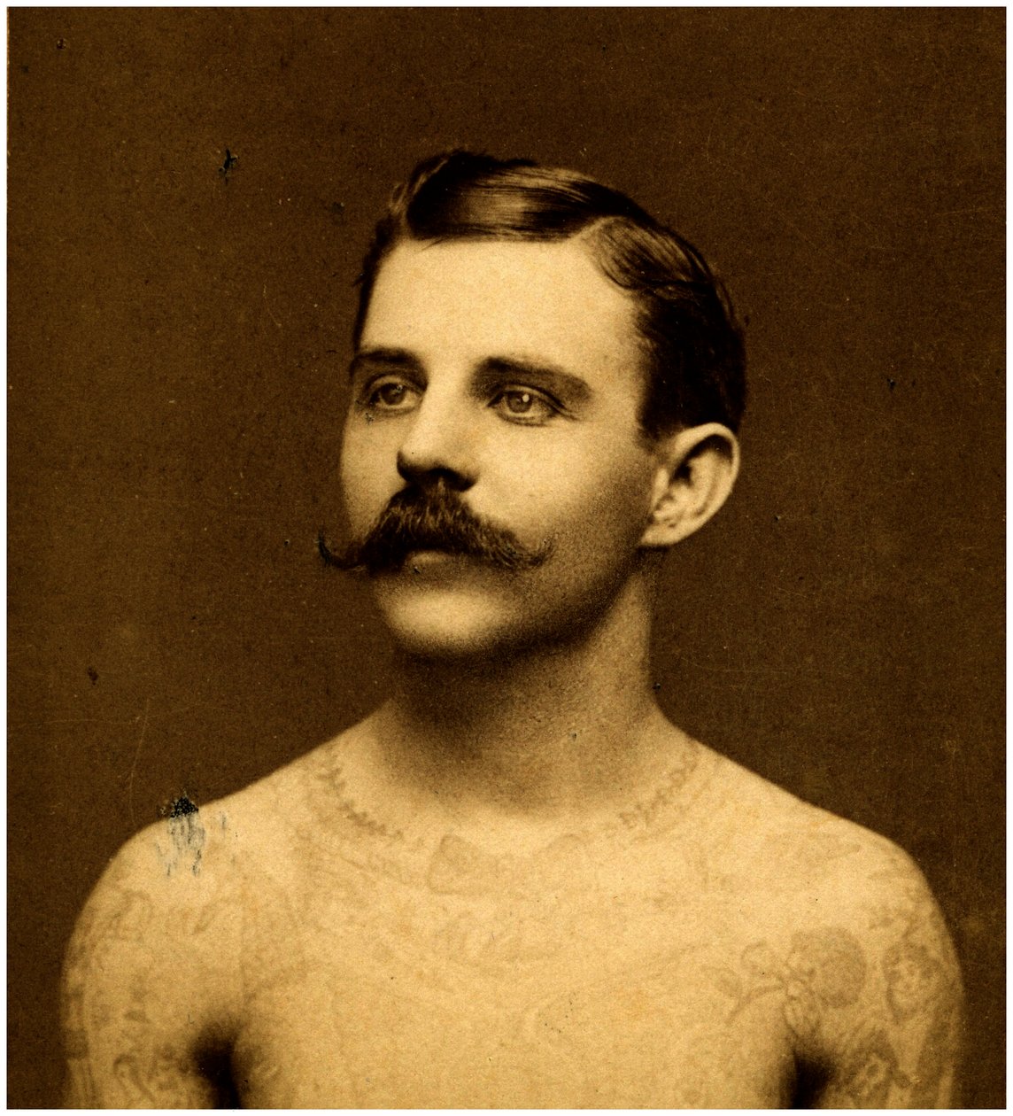 Frank Howard wytatuowany mężczyzna, ok. 1900 (karta gabinetu) autorstwa Charles Eisenmann