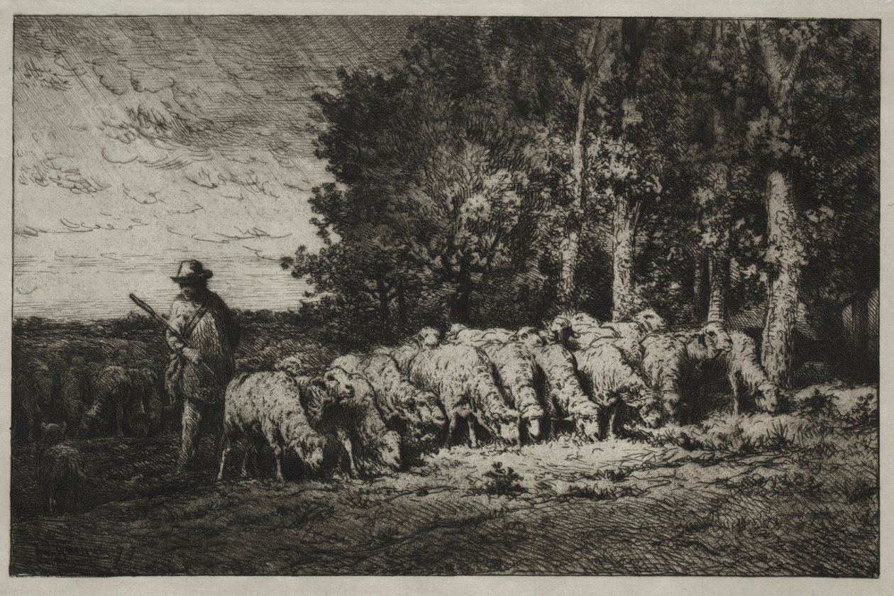 Stado na skraju lasu autorstwa Charles Emile Jacque