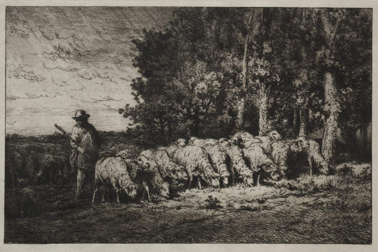 Stado na skraju lasu, 1880 r. autorstwa Charles Emile Jacque