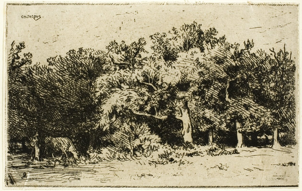 Część lasu Fontainebleau autorstwa Charles Emile Jacque