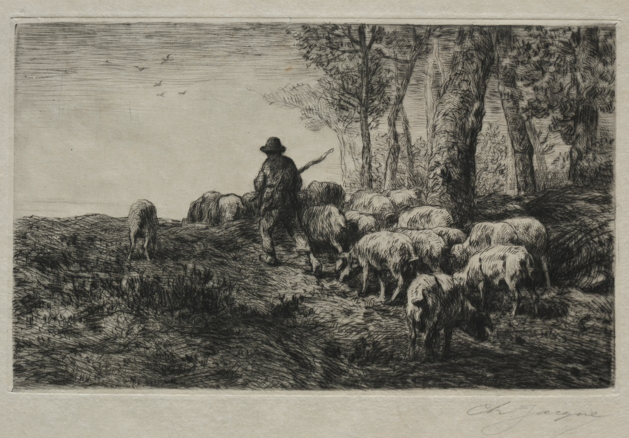 Stado świń autorstwa Charles Emile Jacque
