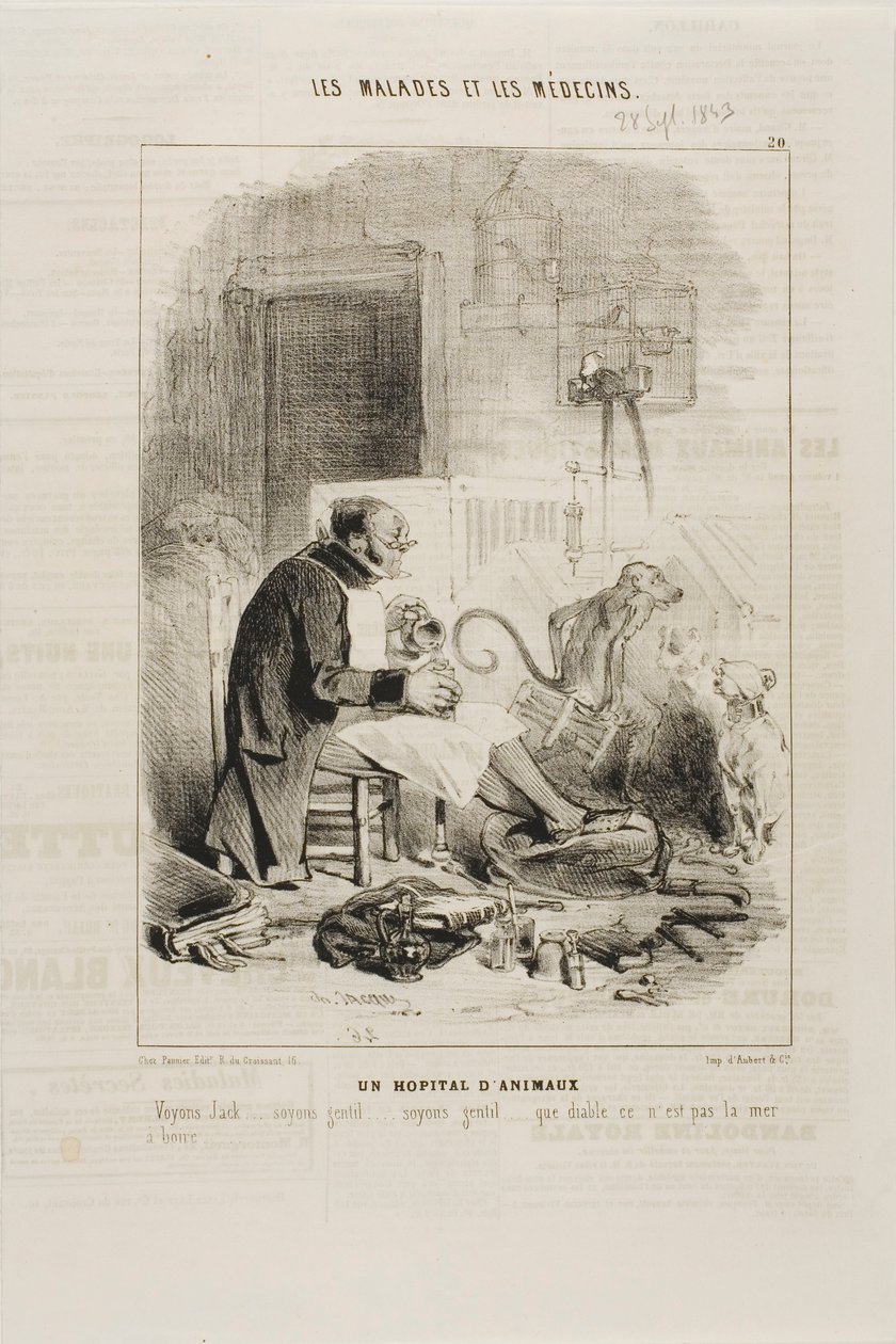 Szpital dla zwierząt (tablica 20) autorstwa Charles Emile Jacque
