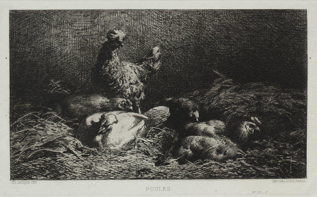 Kurczaki autorstwa Charles Emile Jacque