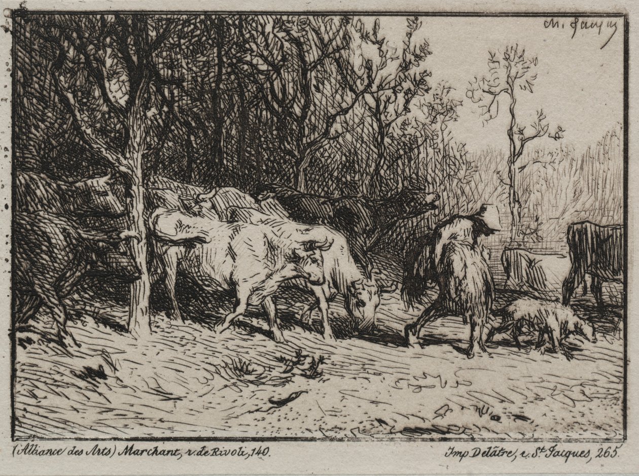 Pasterz autorstwa Charles Emile Jacque