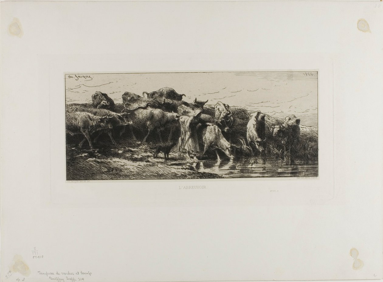 Krowy pijące autorstwa Charles Emile Jacque