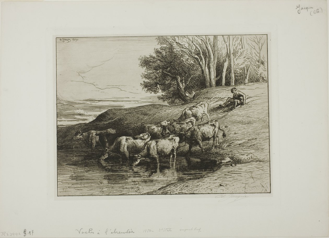 Krowy w wodopoju autorstwa Charles Emile Jacque