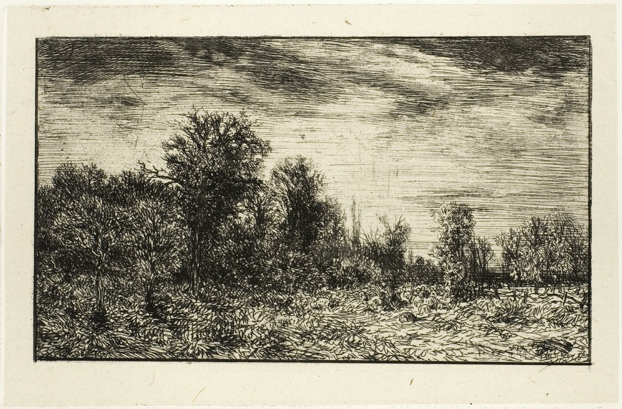 Edge of the Wood, pod zachmurzonym niebem autorstwa Charles Emile Jacque