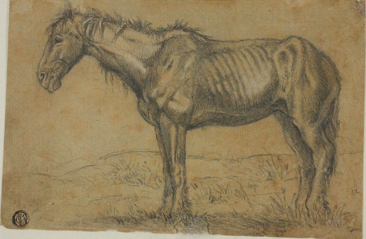 Wychudzony koń (recto); widok konia z przodu (verso) autorstwa Charles Emile Jacque