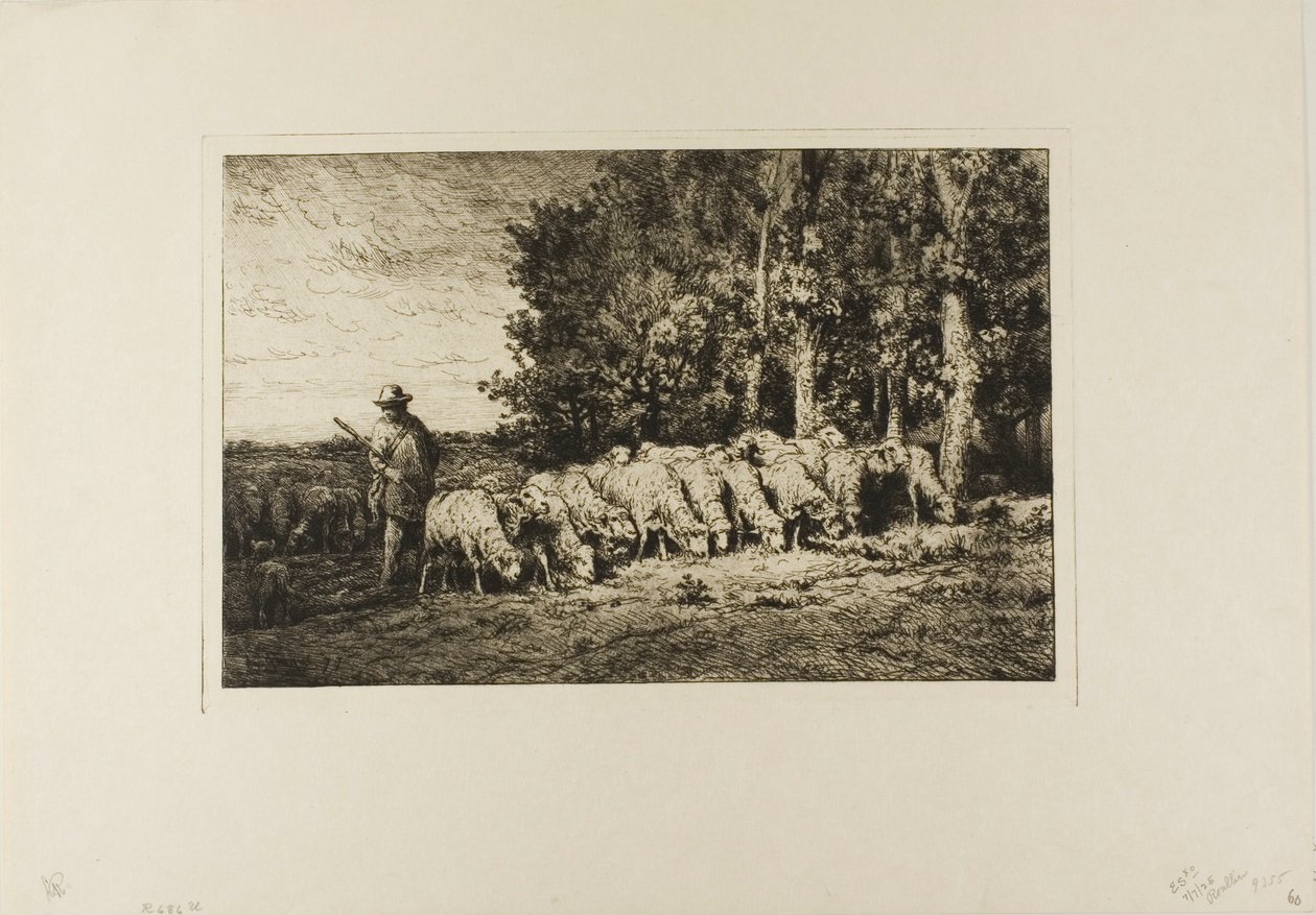 Stado owiec na skraju lasu autorstwa Charles Emile Jacque