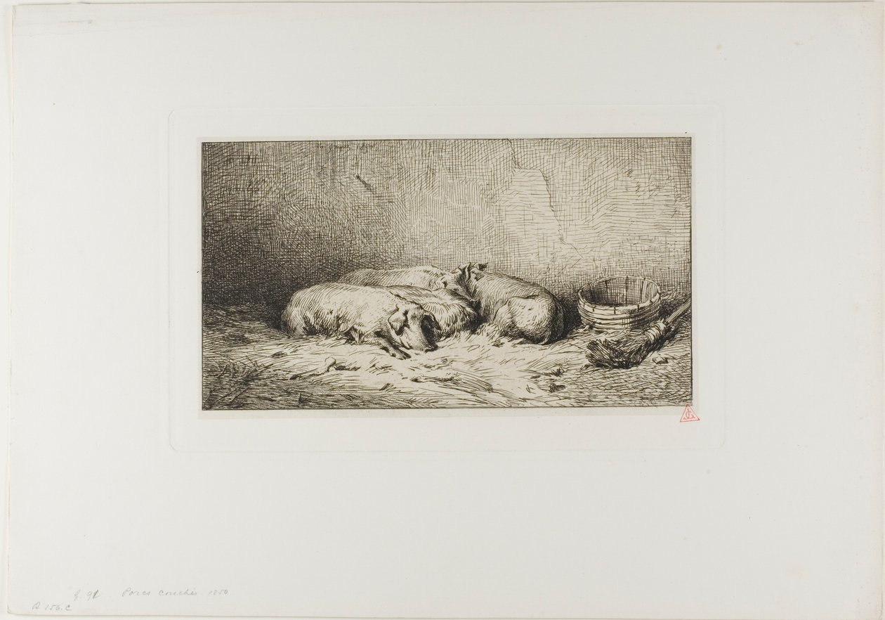 Cztery śpiące świnie autorstwa Charles Emile Jacque