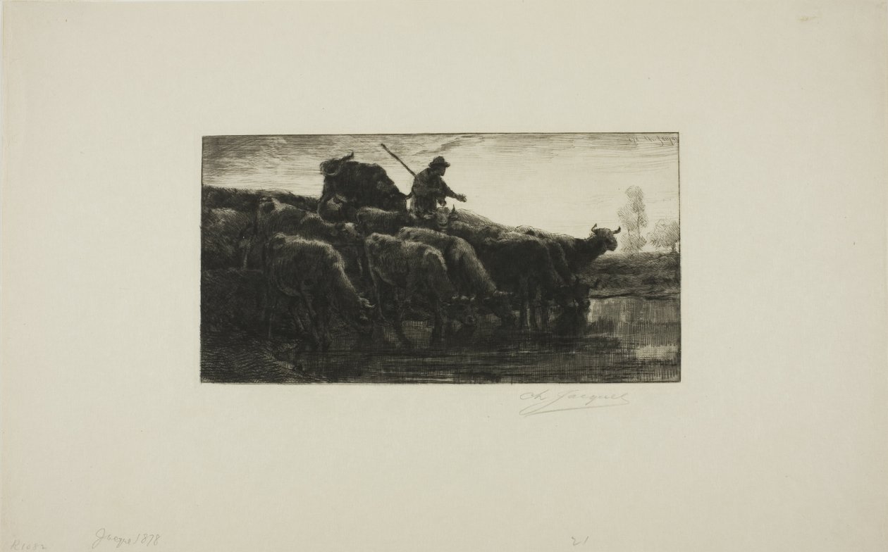 Stado krów przy korycie paszowym autorstwa Charles Emile Jacque
