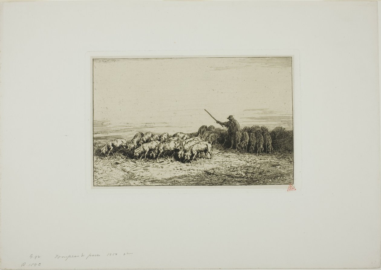 Stado świń autorstwa Charles Emile Jacque